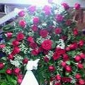 corona de rosas rojas.