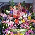 corona de flores preparada con gladiolos, rosas, lilium, claveles, gerberas etc... de tamao mediano(flor dependiendo de temporada). 